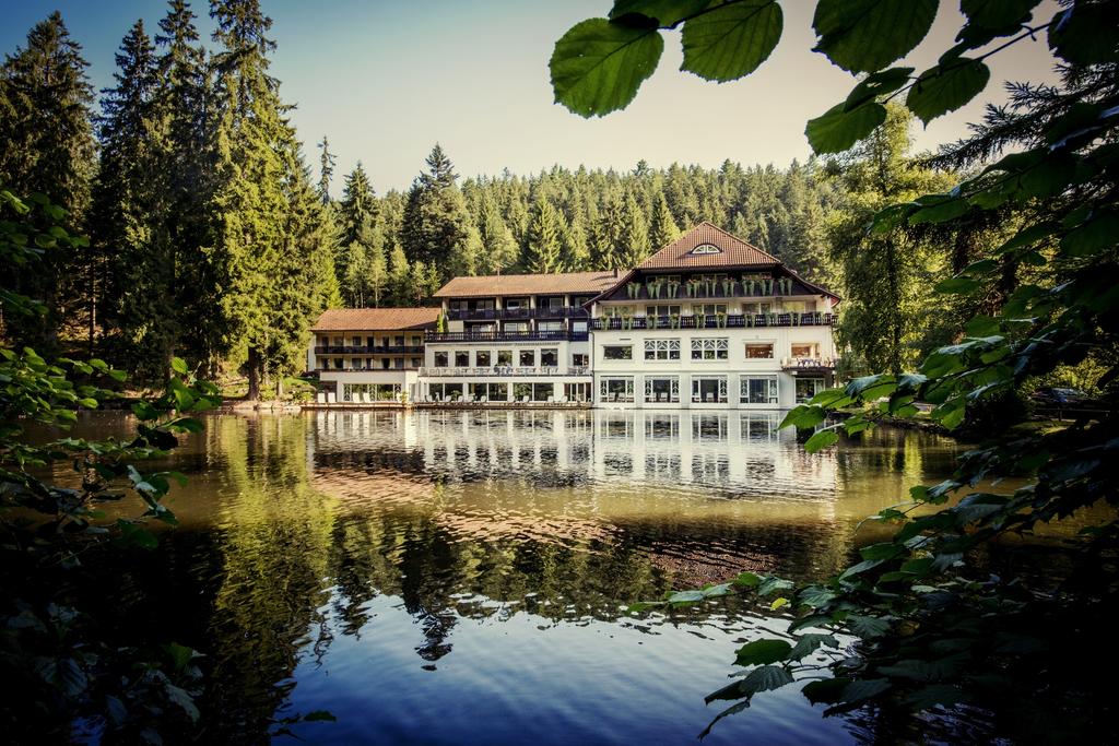 Langenwaldsee