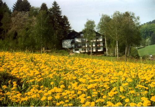 Hotel Birkenhof