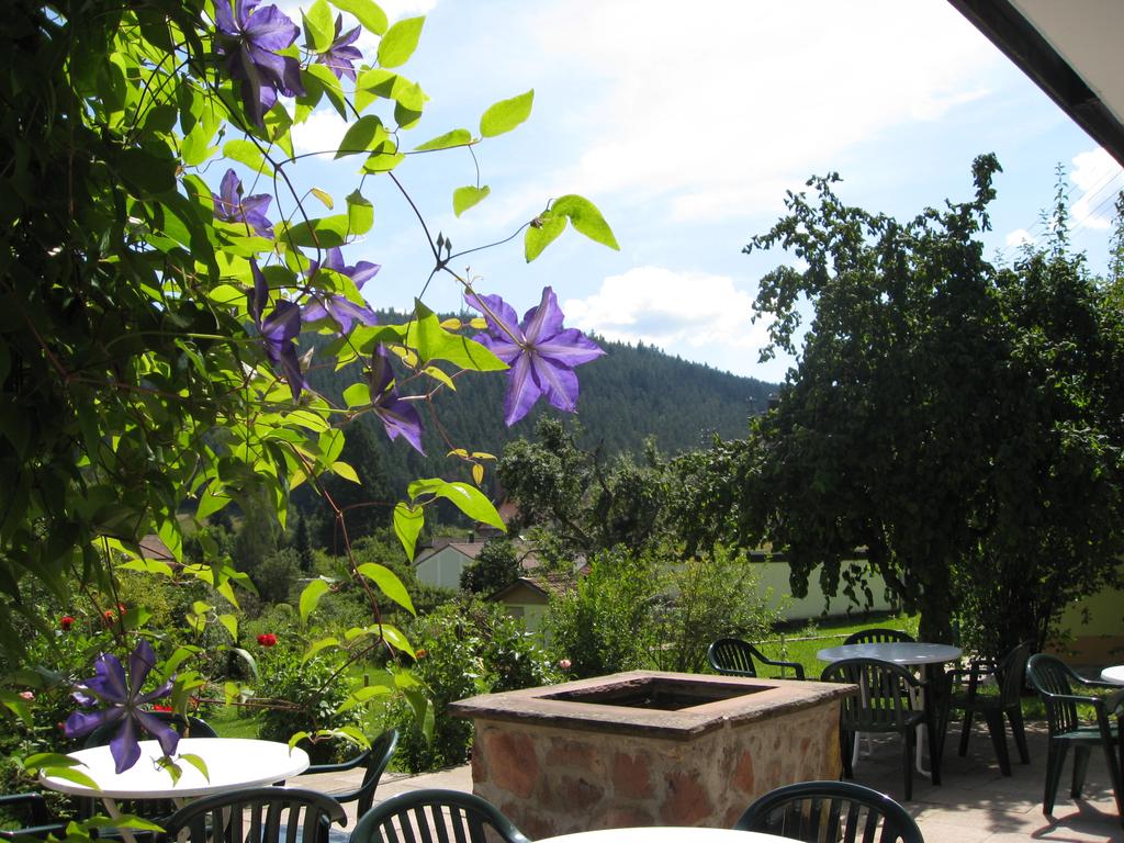 Hotel Schwarzwald Schafer