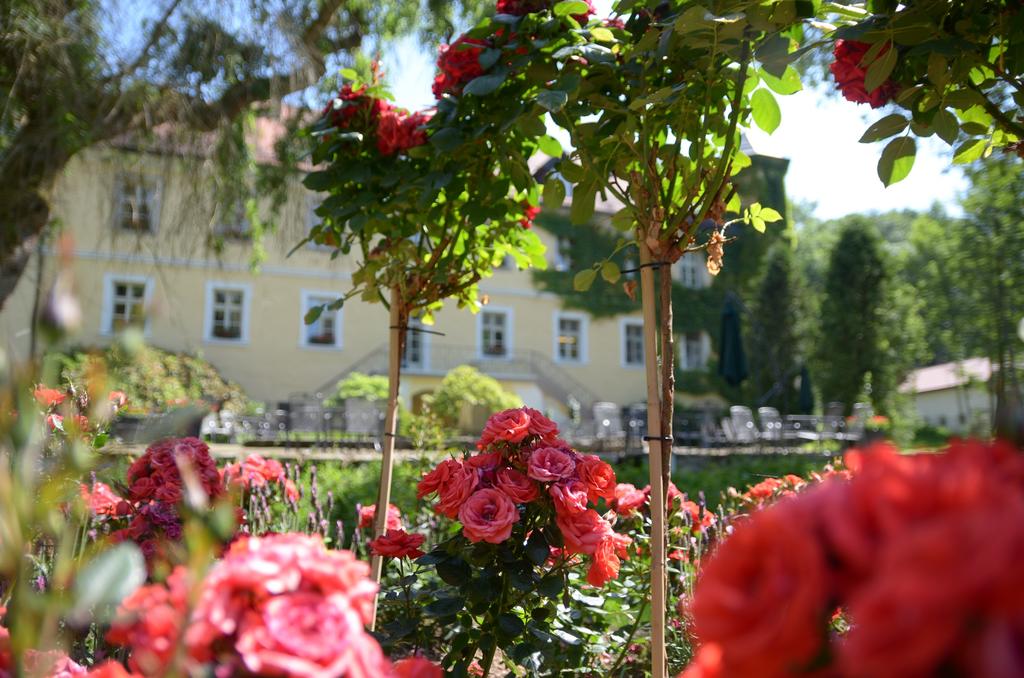 SchloBhotel Ernestgrun