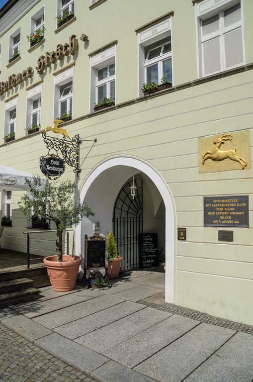 AKZENT Hotel Goldner Hirsch