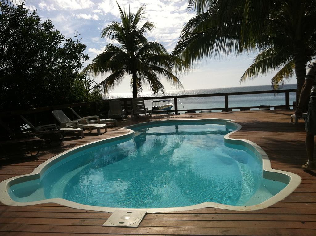 Coconut Tree West Bay