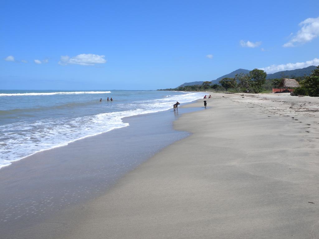 Tranquility Bay Beach Retreat