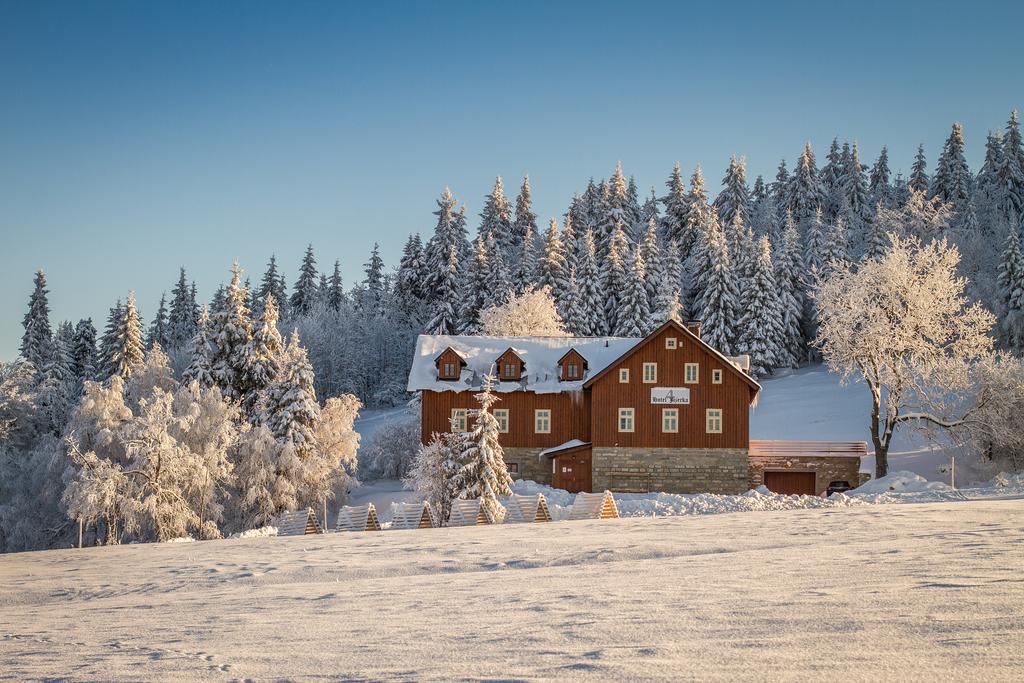 Hotel Jizerka 4