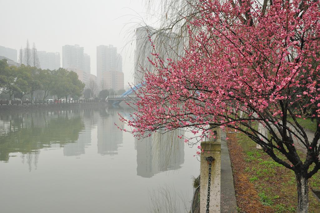 Zhejiang Xiangyuan Hotel