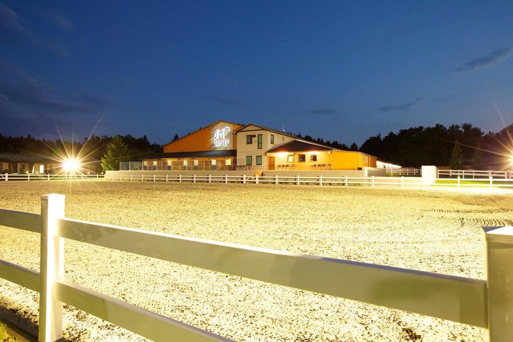 Master Horse Club - Svojetice