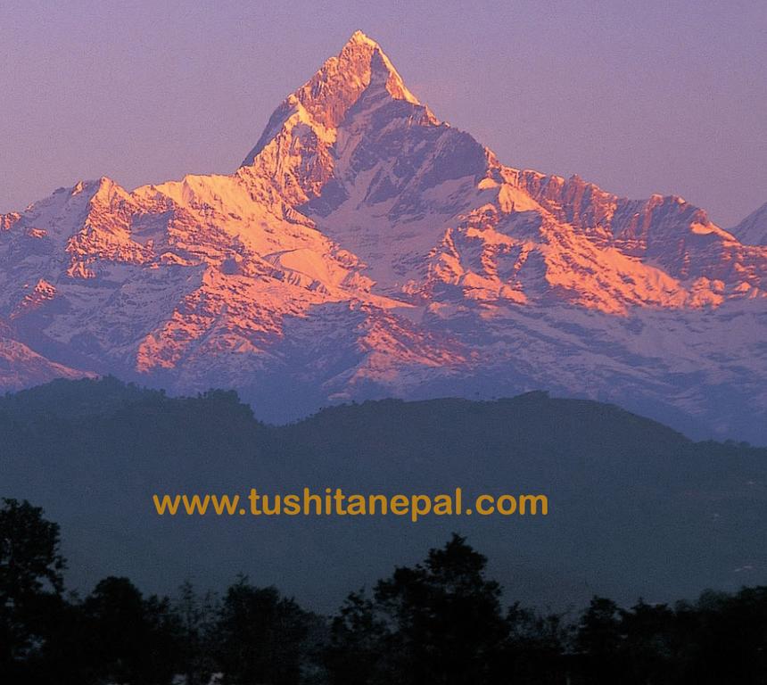 Tushita - Nepal Yoga Retreats