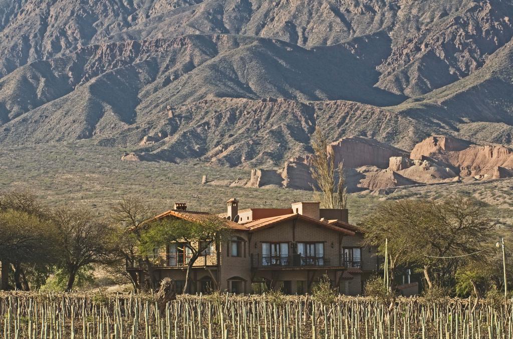 La Casa De La Bodega - Wine Boutique Hotel