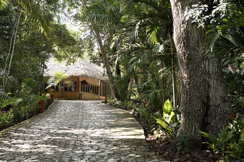 Hotel Jungle Lodge Tikal