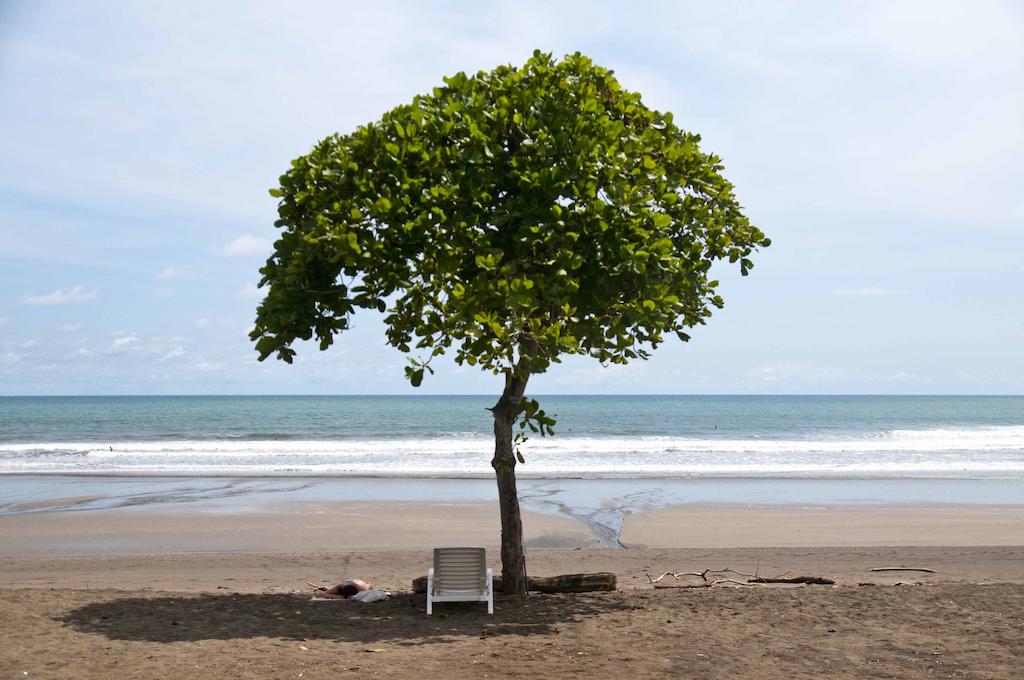 El Sitio de Playa Venao