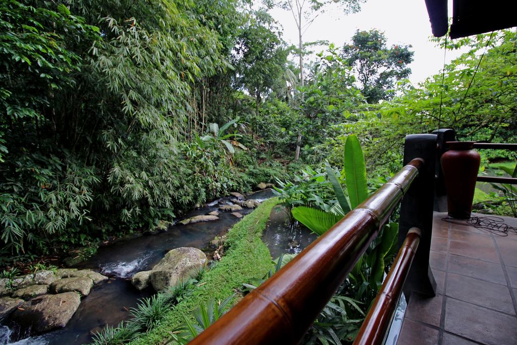 Bali Eco Stay