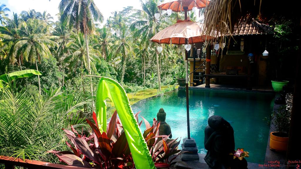 Capung Sakti Villas