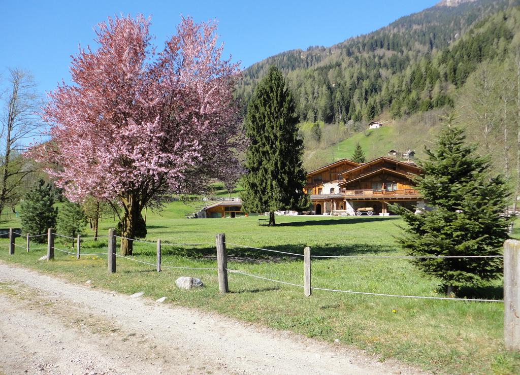 Chalet Alpino Maso del Brenta