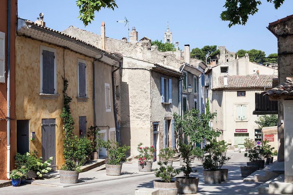 Hôtel Restaurant lArbre de Mai