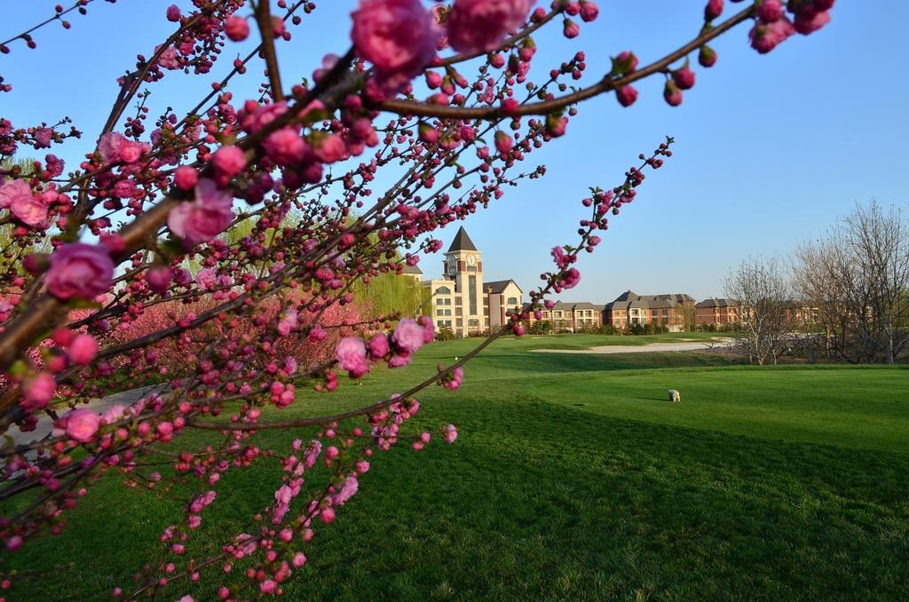 Langfang Golden Elephant Golf Hotel