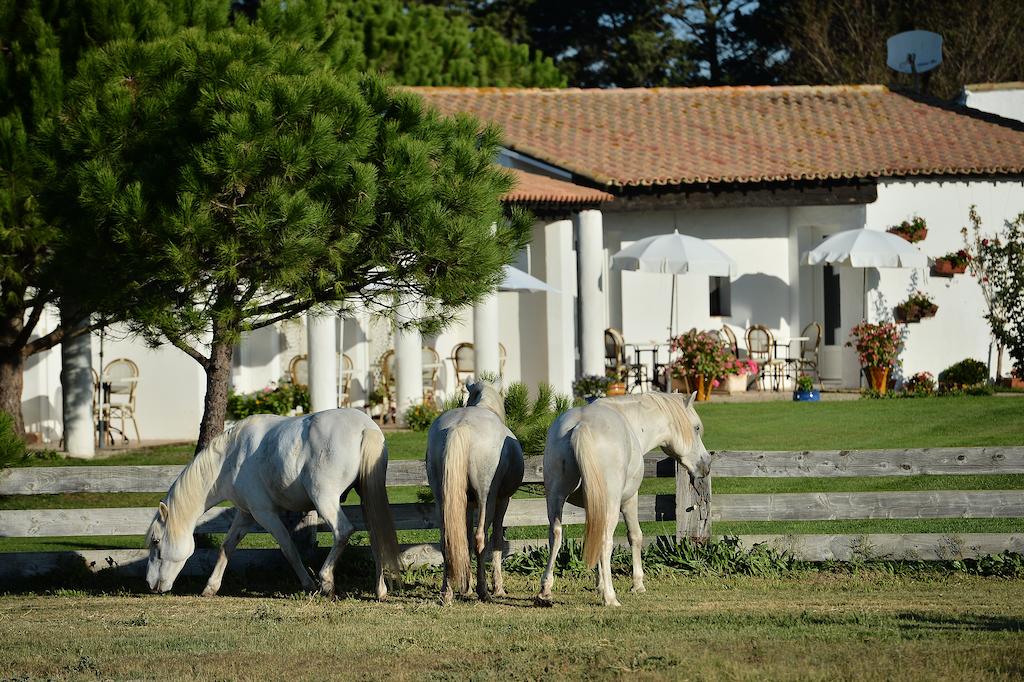 Hotel Mas de la Grenouillere