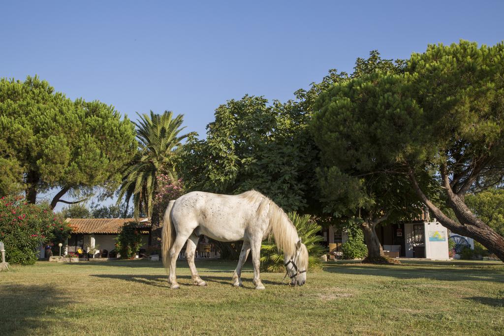 Hotel Mas Des Barres