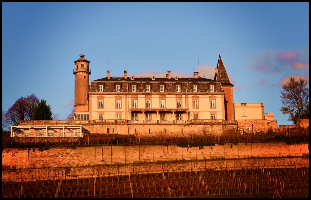 Chateau D Isenbourg