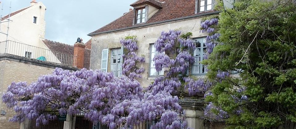 SY Hotel les Glycines