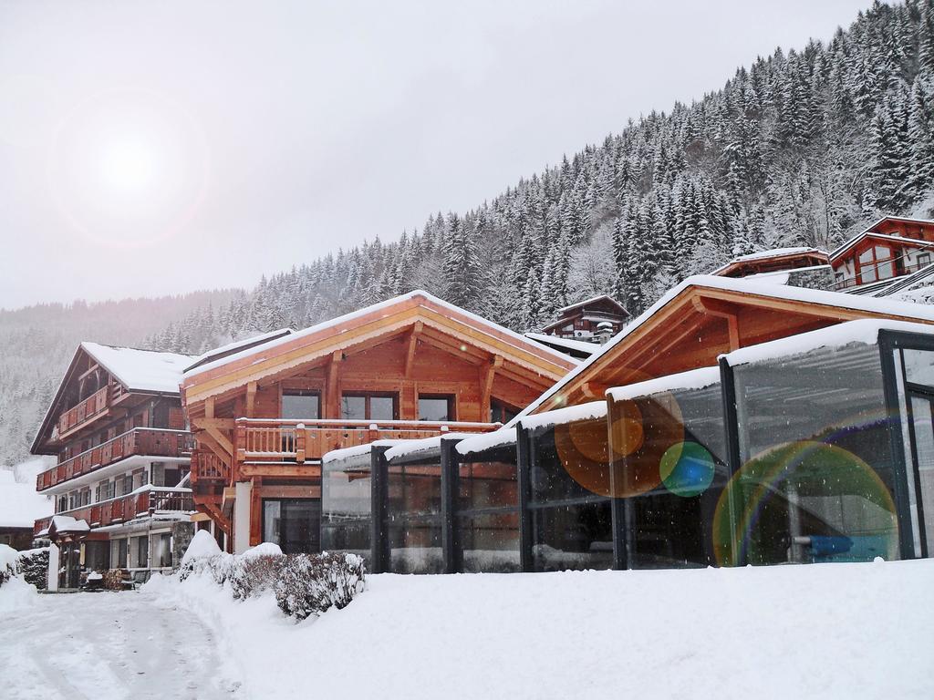 Chalet Hotel Alpina