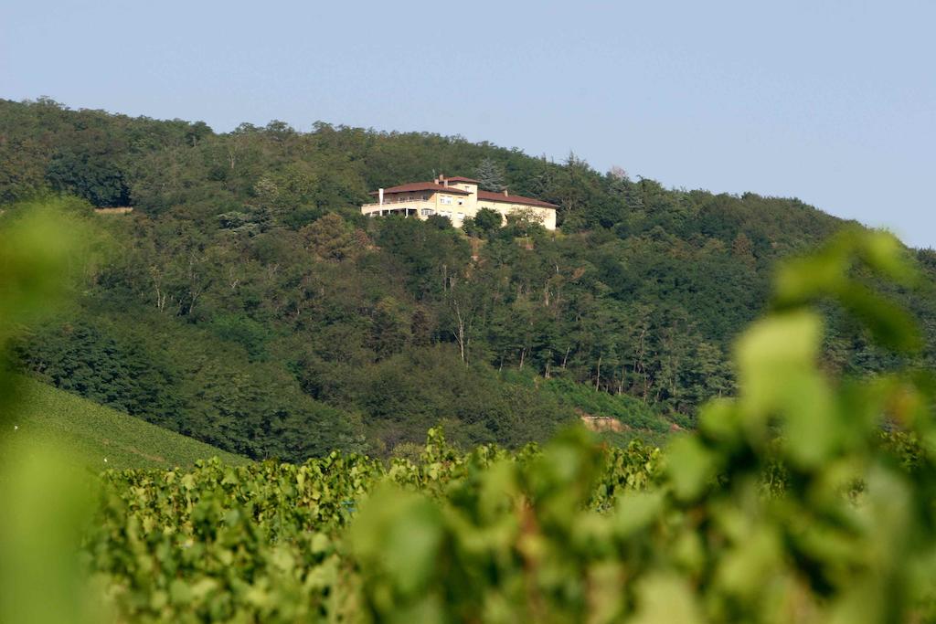 Auberge Les Hauts De Chenas