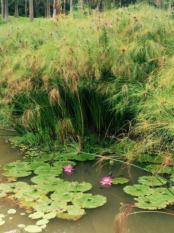 Royal Waterlily Hotel