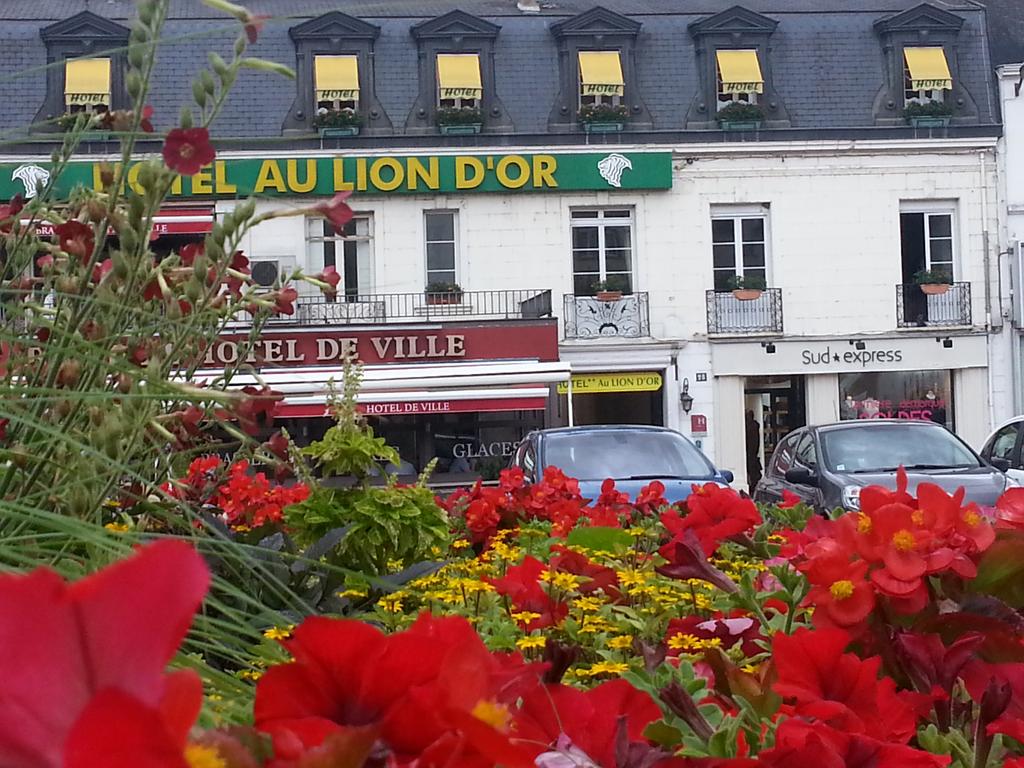 Hôtel Au Lion Dor