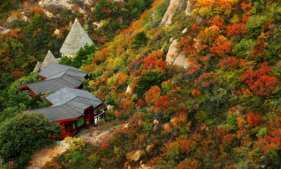 Yunfeng Mountain Fairy Tale Tree House