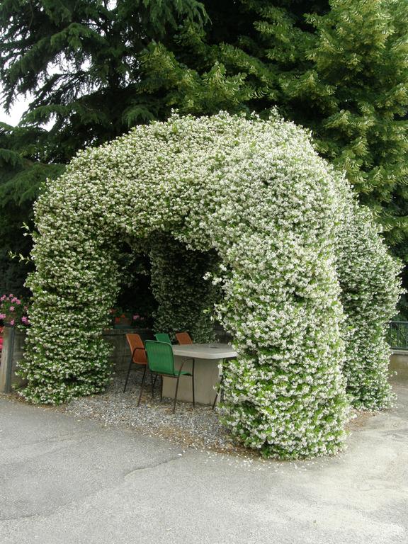 Albergo Ristorante La Scaiola