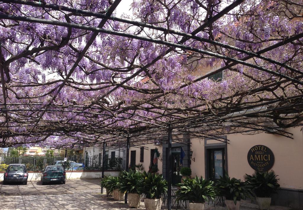 Hotel degli Amici