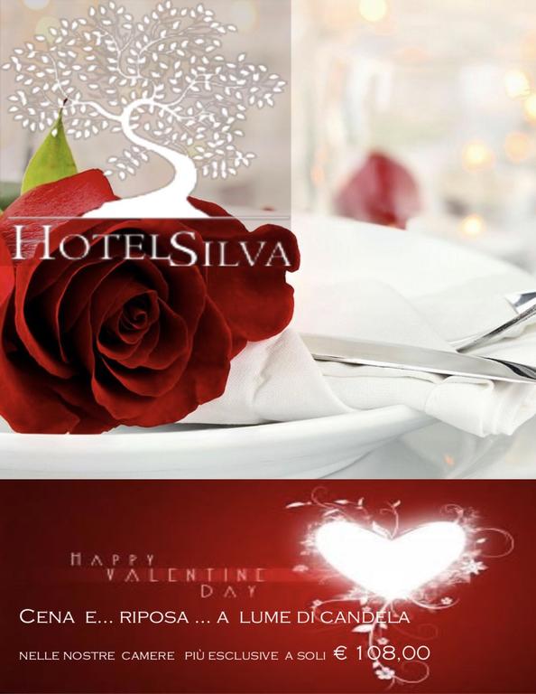 Hotel Silva