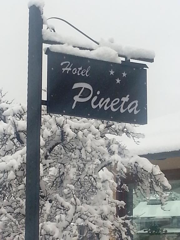 Hotel Pineta