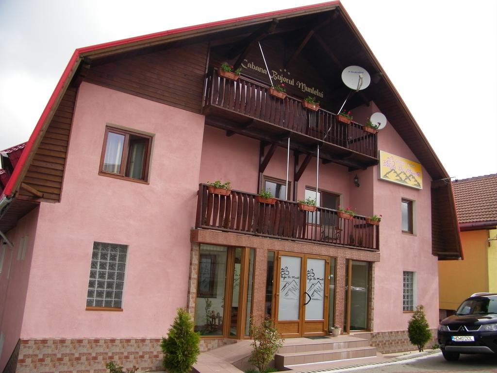 Hotel Bujor de Munte