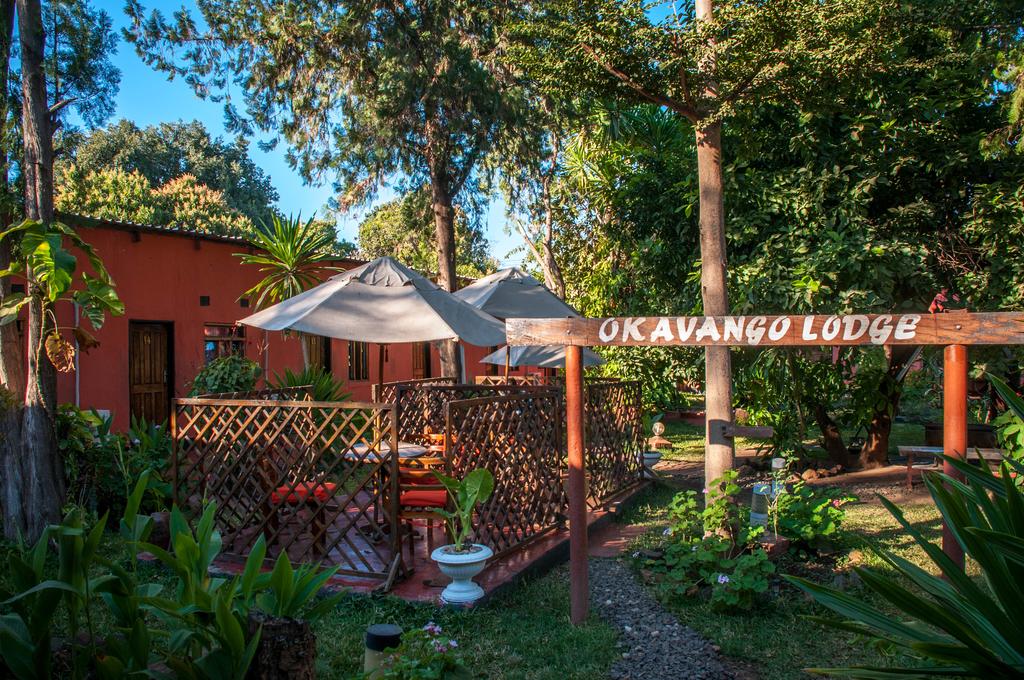 Okavango Lodge