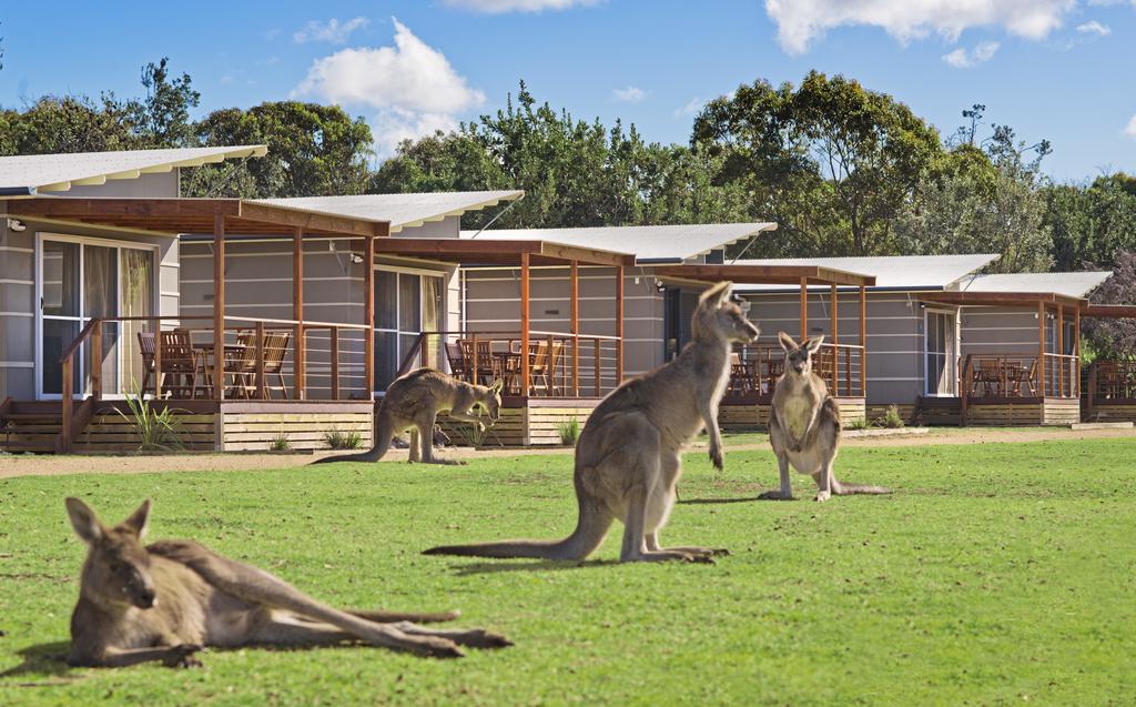 Discovery Parks Pambula Beach