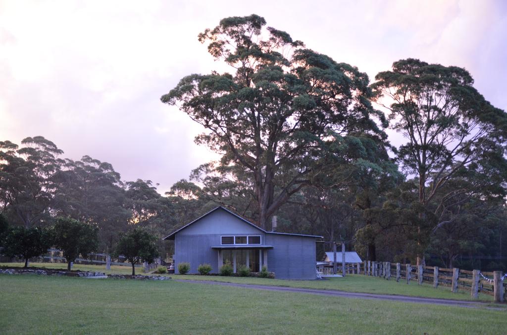 Worrowing - Jervis Bay