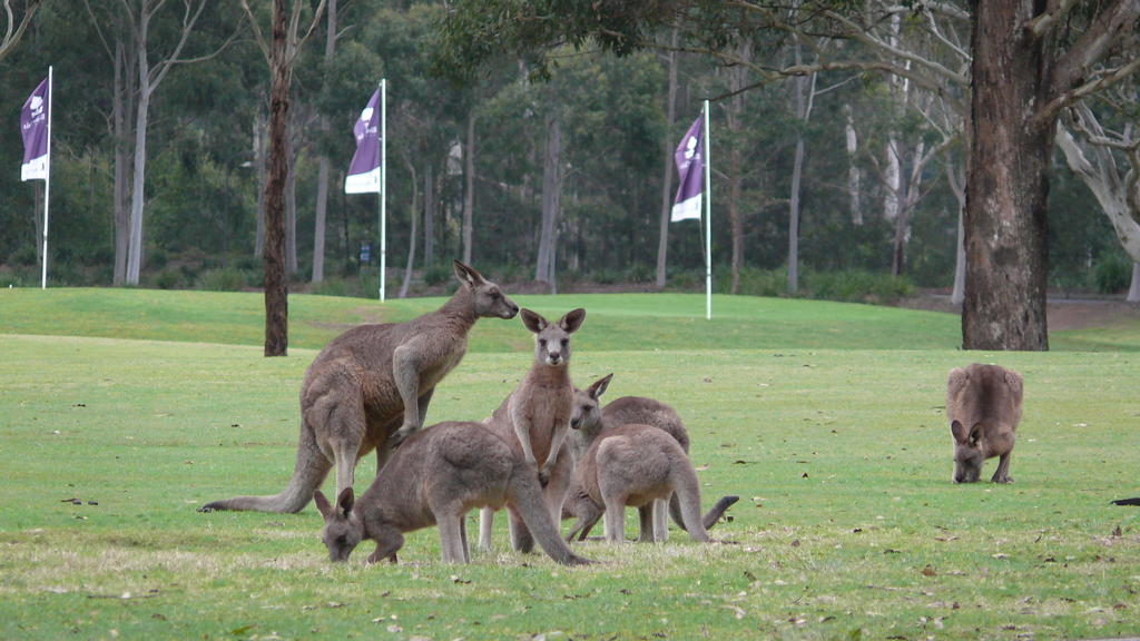 Riverside Oaks Golf Resort