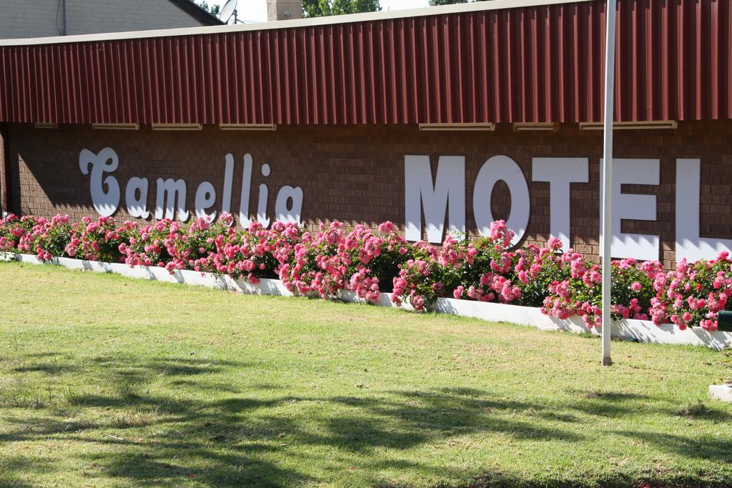 Camellia Motel