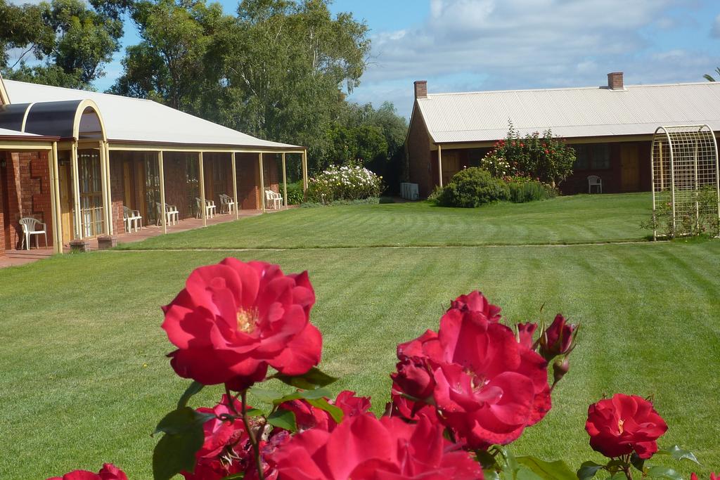 Coonawarra Units