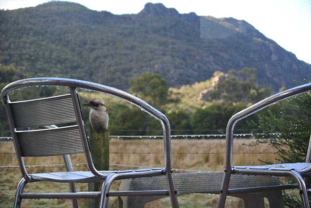 Kookaburra Motor Lodge