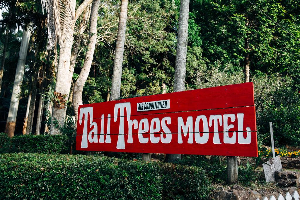 Tall Trees Motel