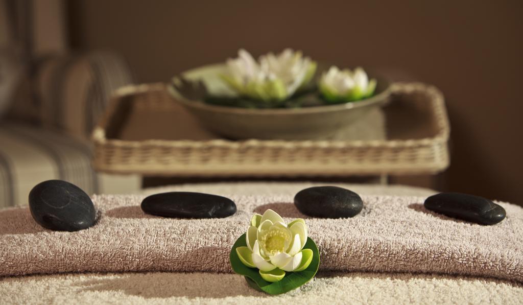 White Lotus Day Spa