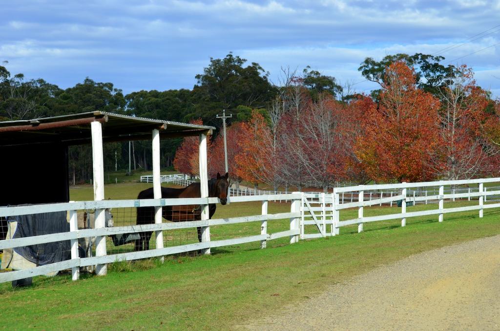 Oaks Ranch and Country Club