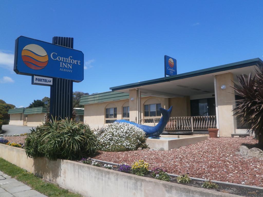 Comfort Inn Albany