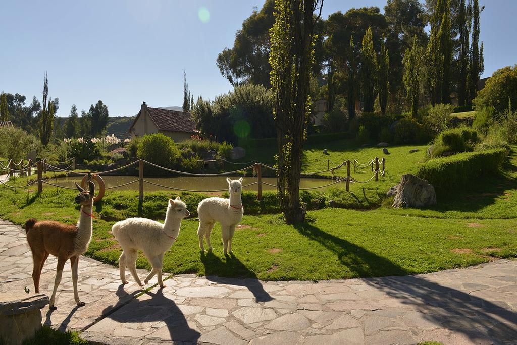 Las Casitas Del Colca