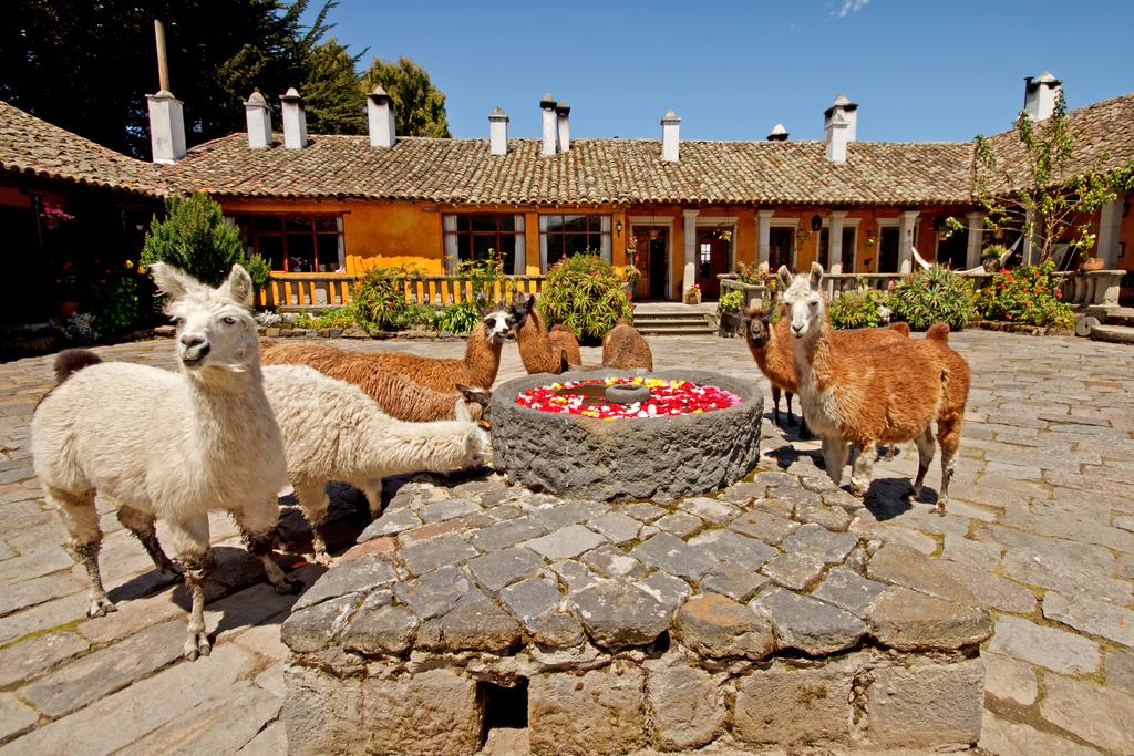 Hacienda San Agustin de Callo