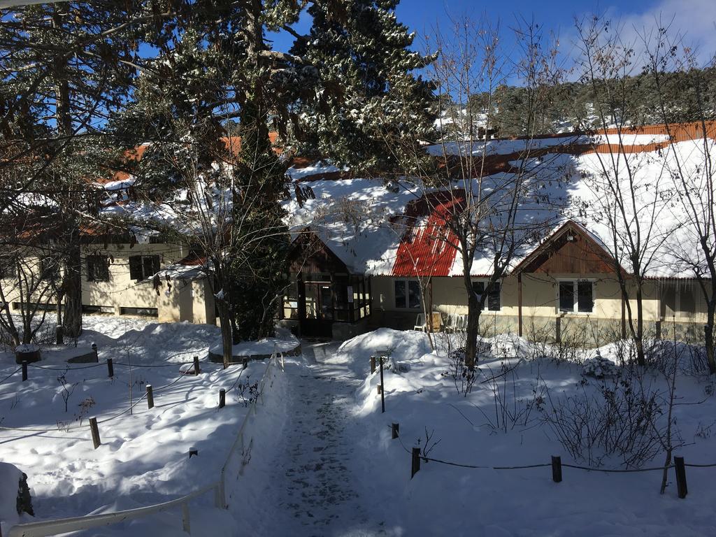 Troodos Hotel