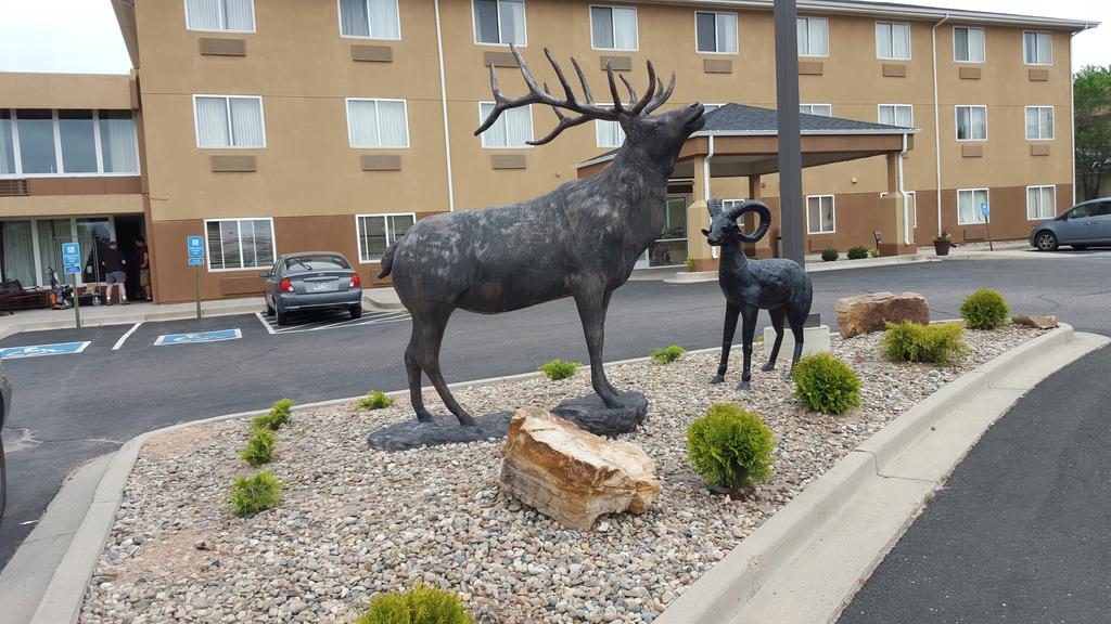 Rodeway Inn Colorado Springs