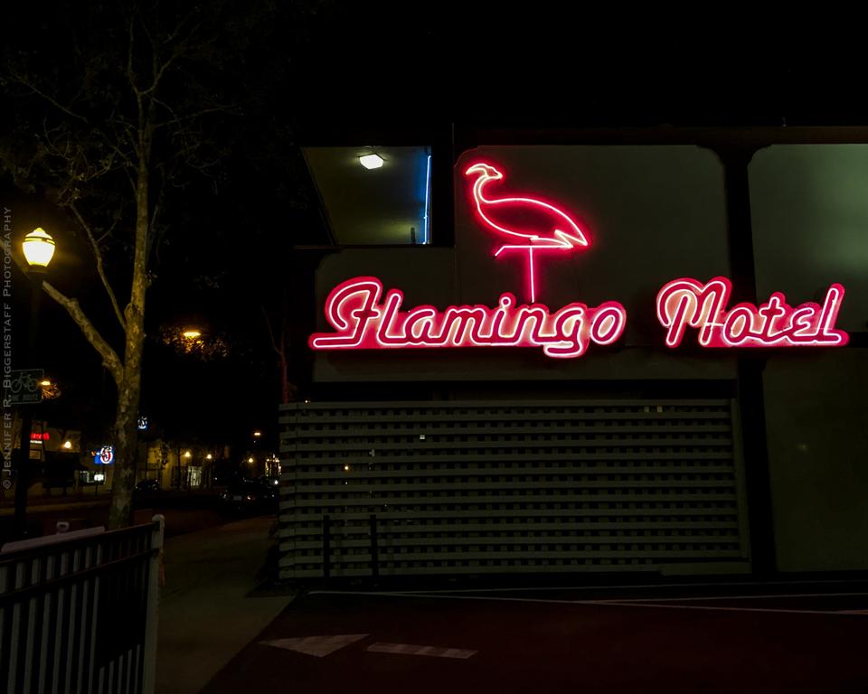 The Flamingo Motel