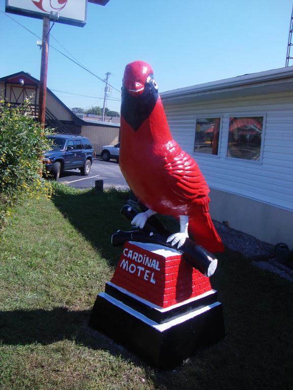 Cardinal Motel